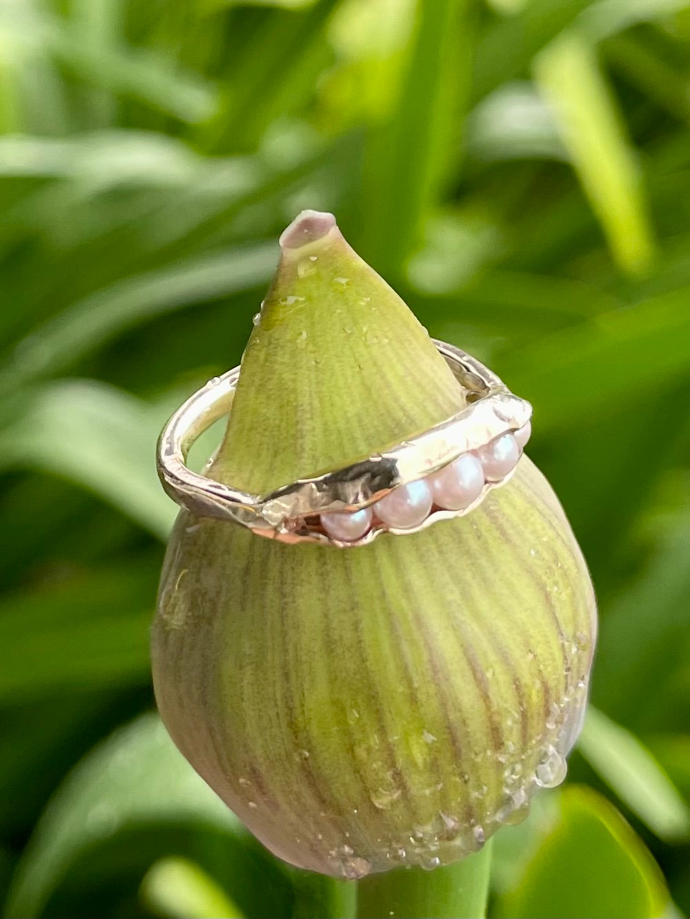 9ct Yellow Gold Akoya Pearl Ring