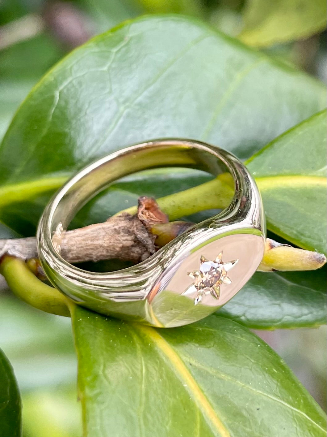 9ct Yellow Gold Star-set Chocolate Diamond Signet Ring