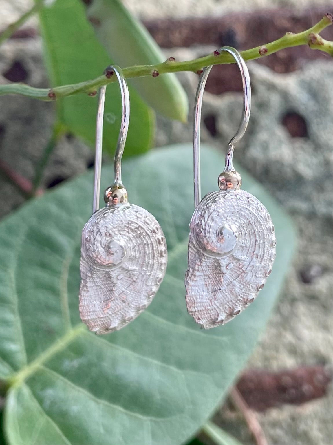 Sterling Silver & 9ct Yellow Gold Abalone Shell Earrings