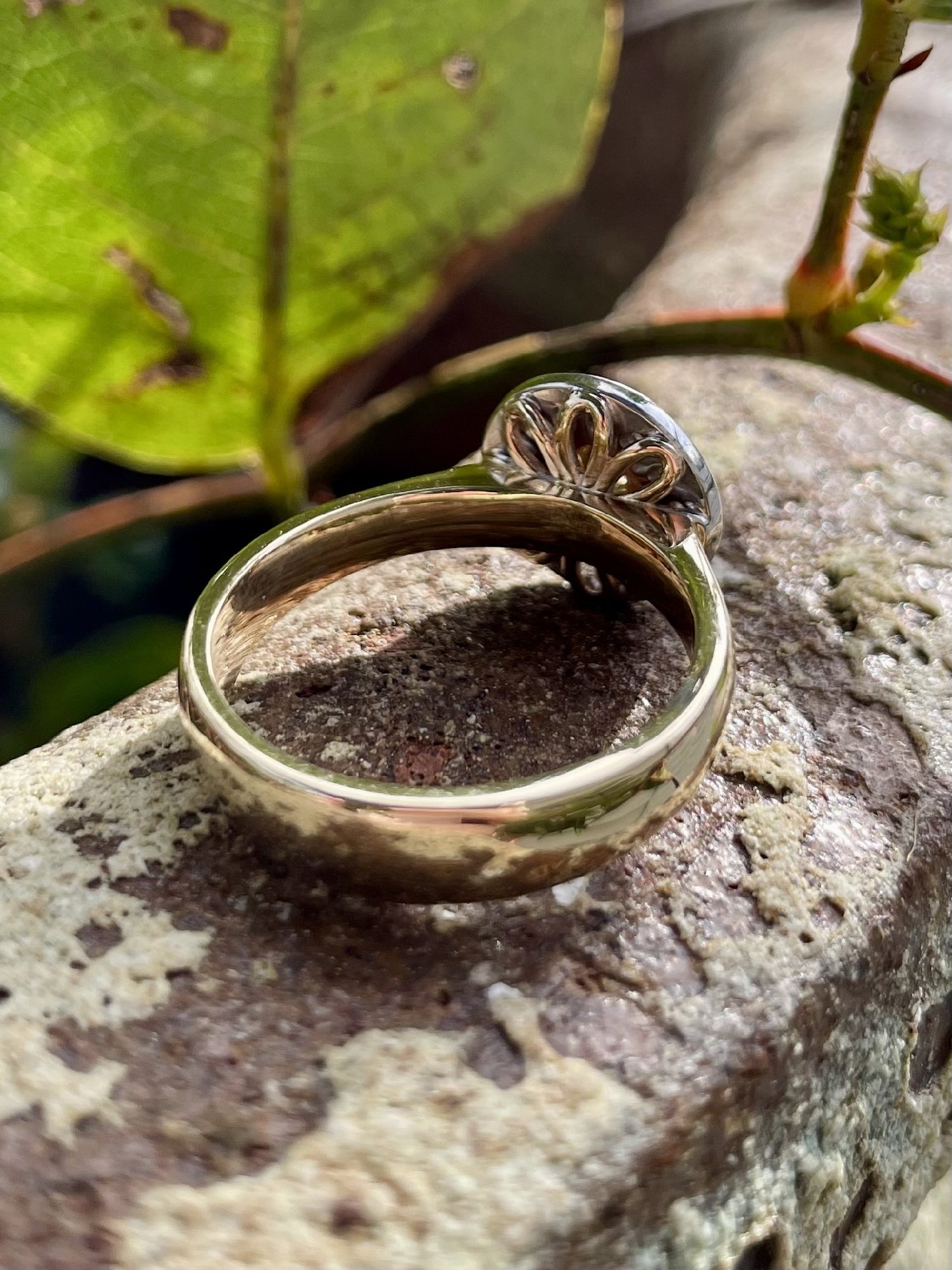 9ct Yellow/White Gold Australian Chocolate Diamond 'Halo' Ring
