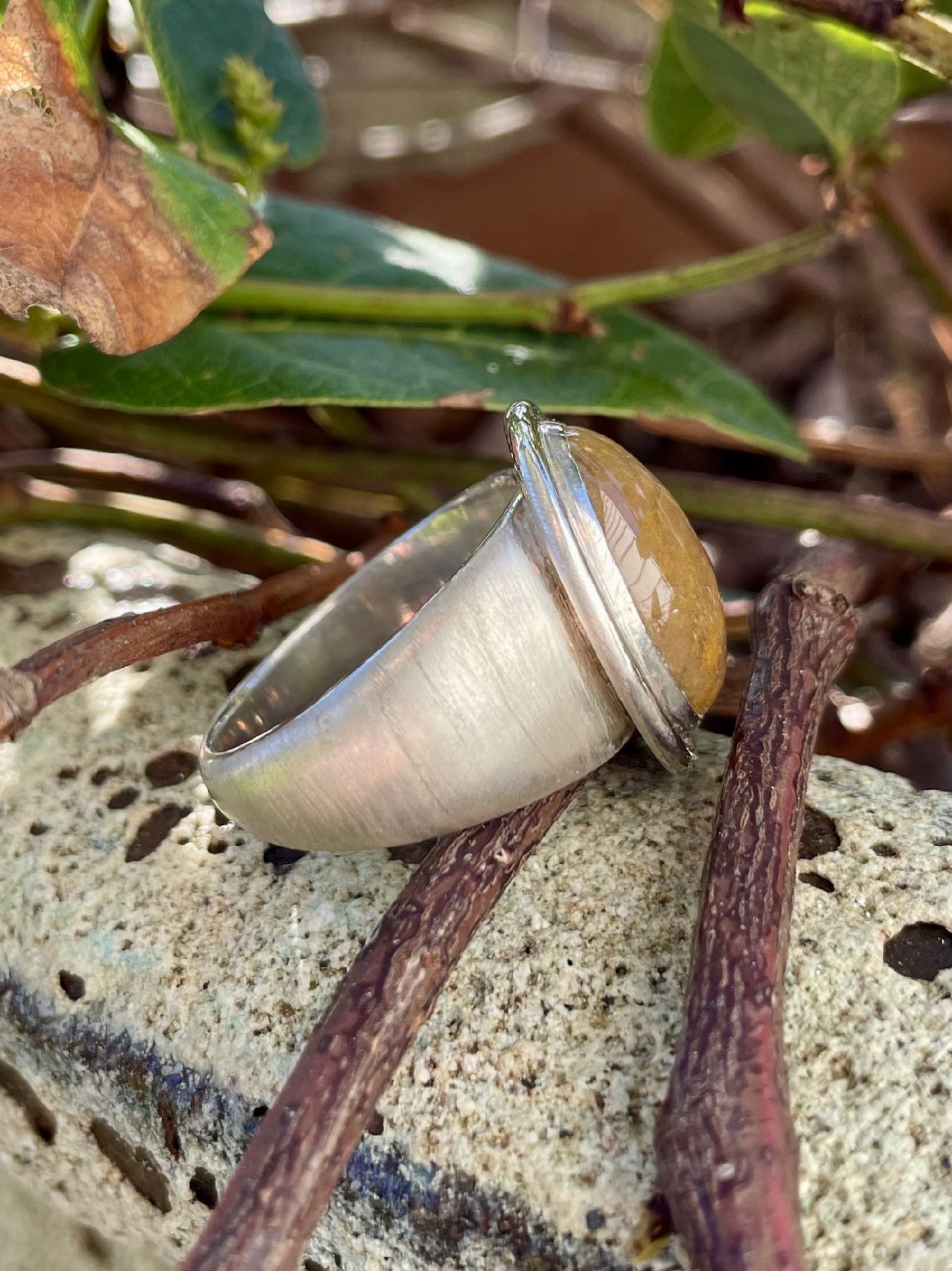 Sterling Silver Petrified Wood Ring