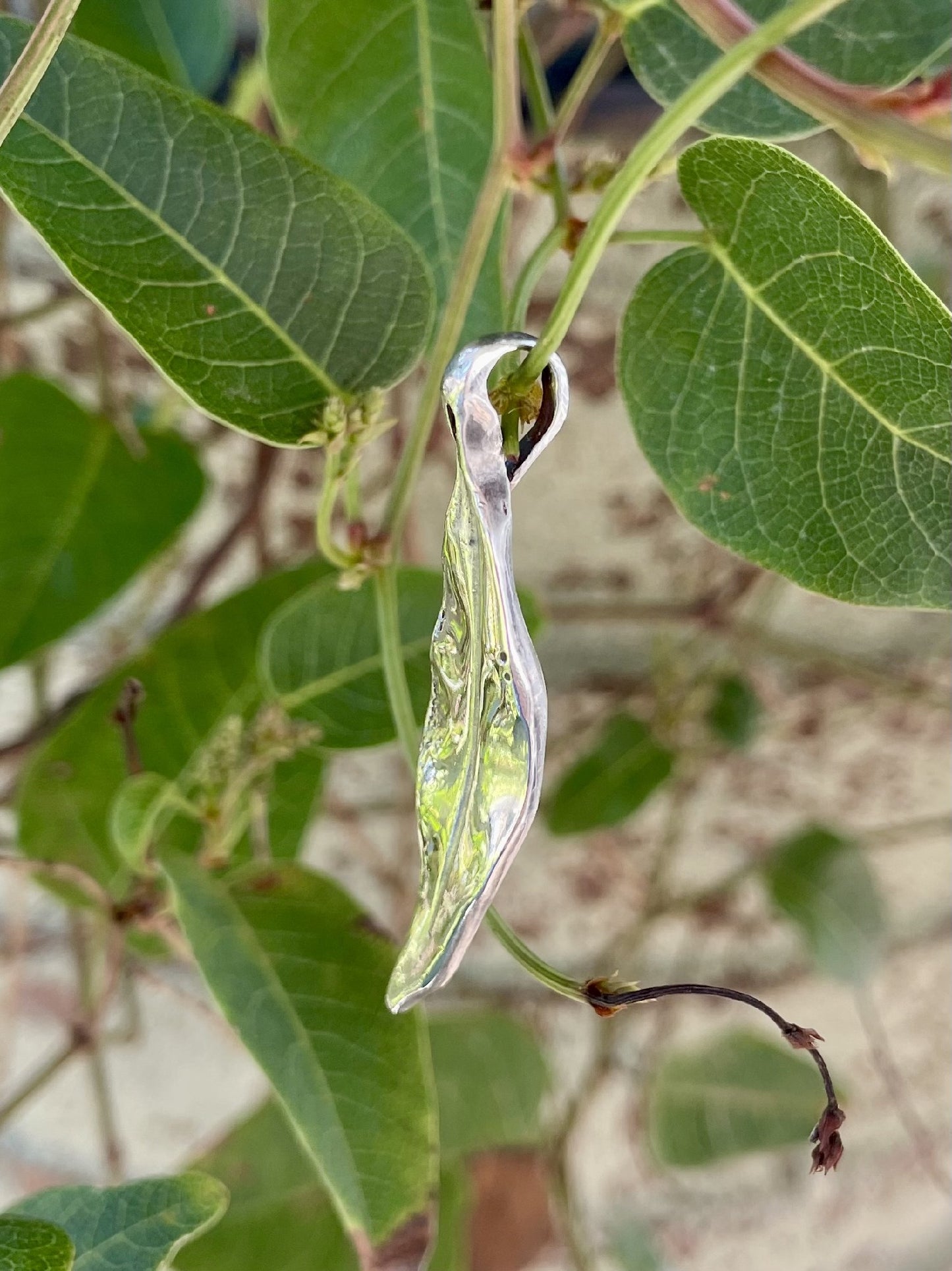 Sterling Silver Gumleaf Pendant (L6)