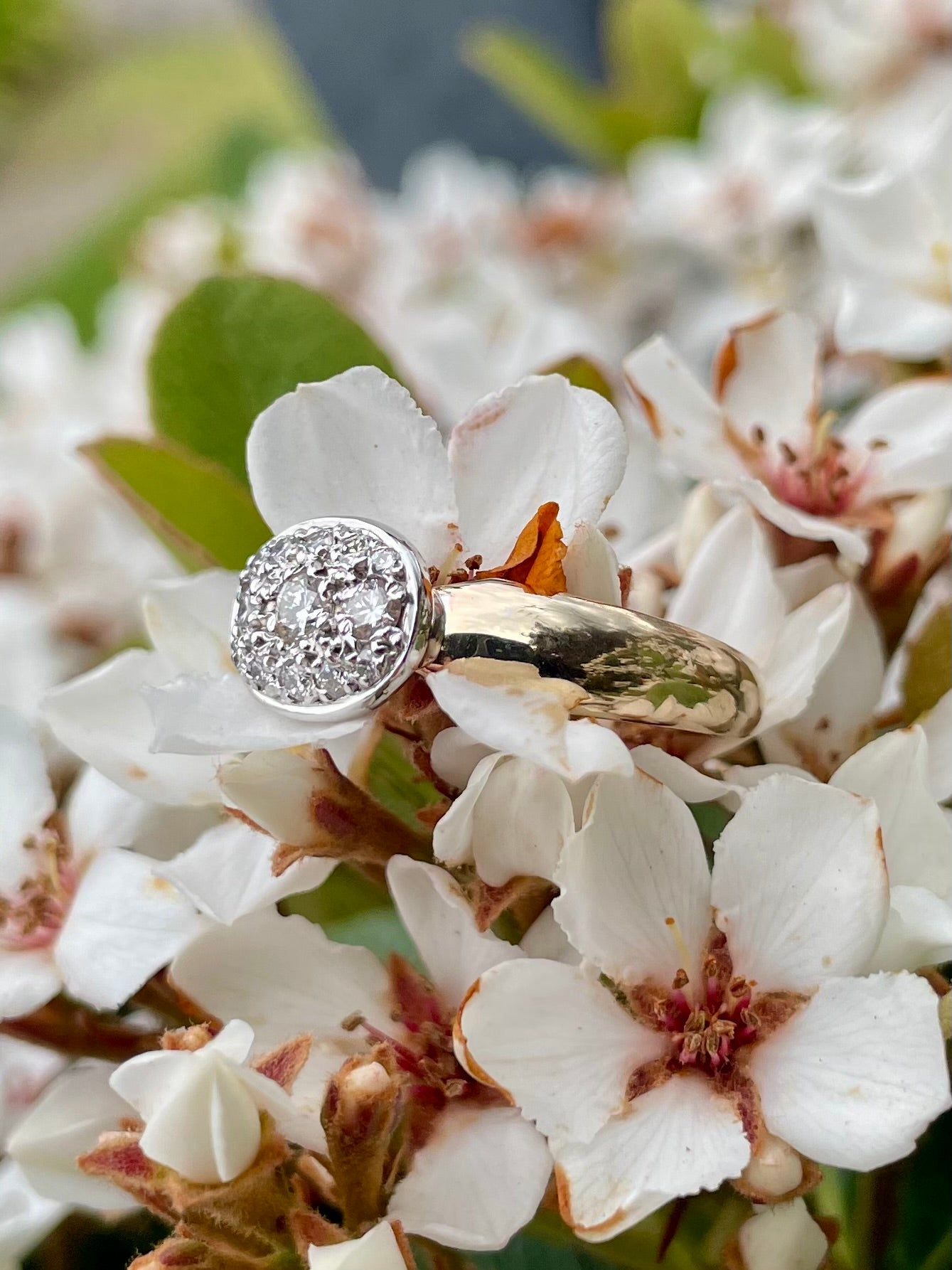 9ct Yellow & White Gold Diamond Ring