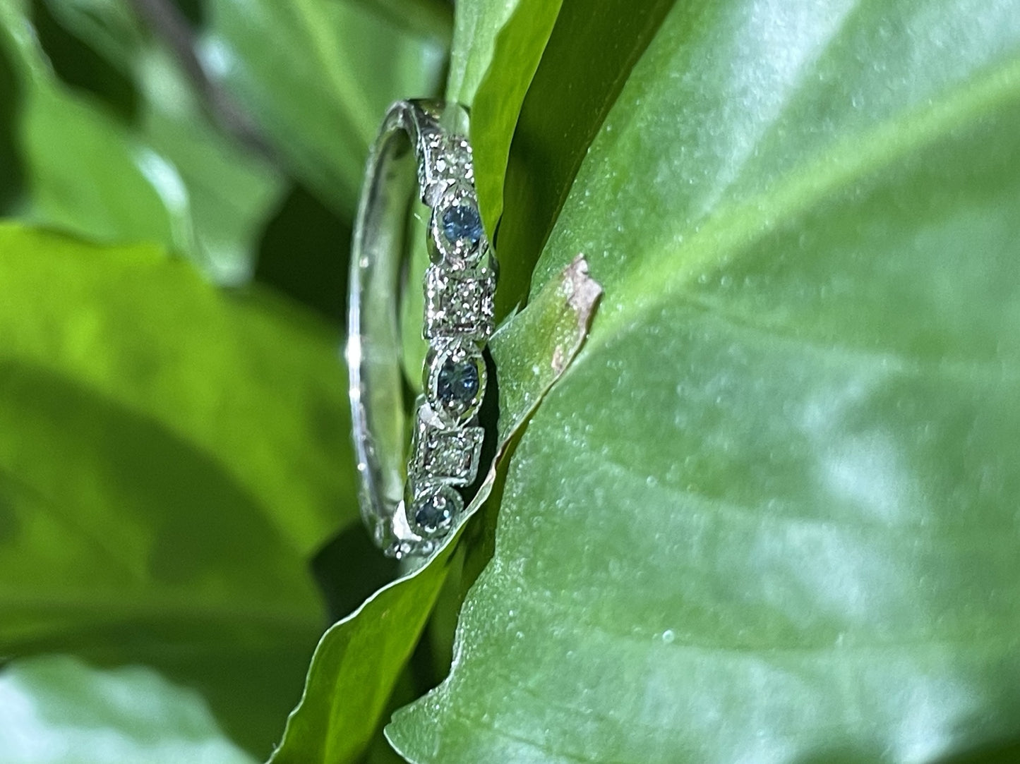 9ct White Gold Diamond and Sapphire Wedder