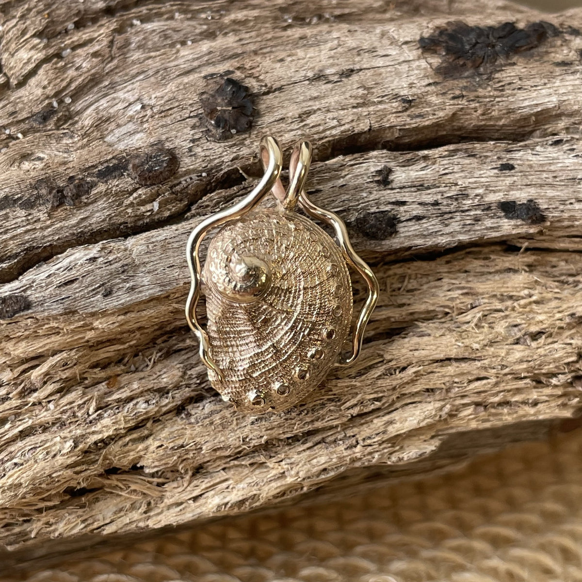 9ct Yellow Gold Abalone Pendant