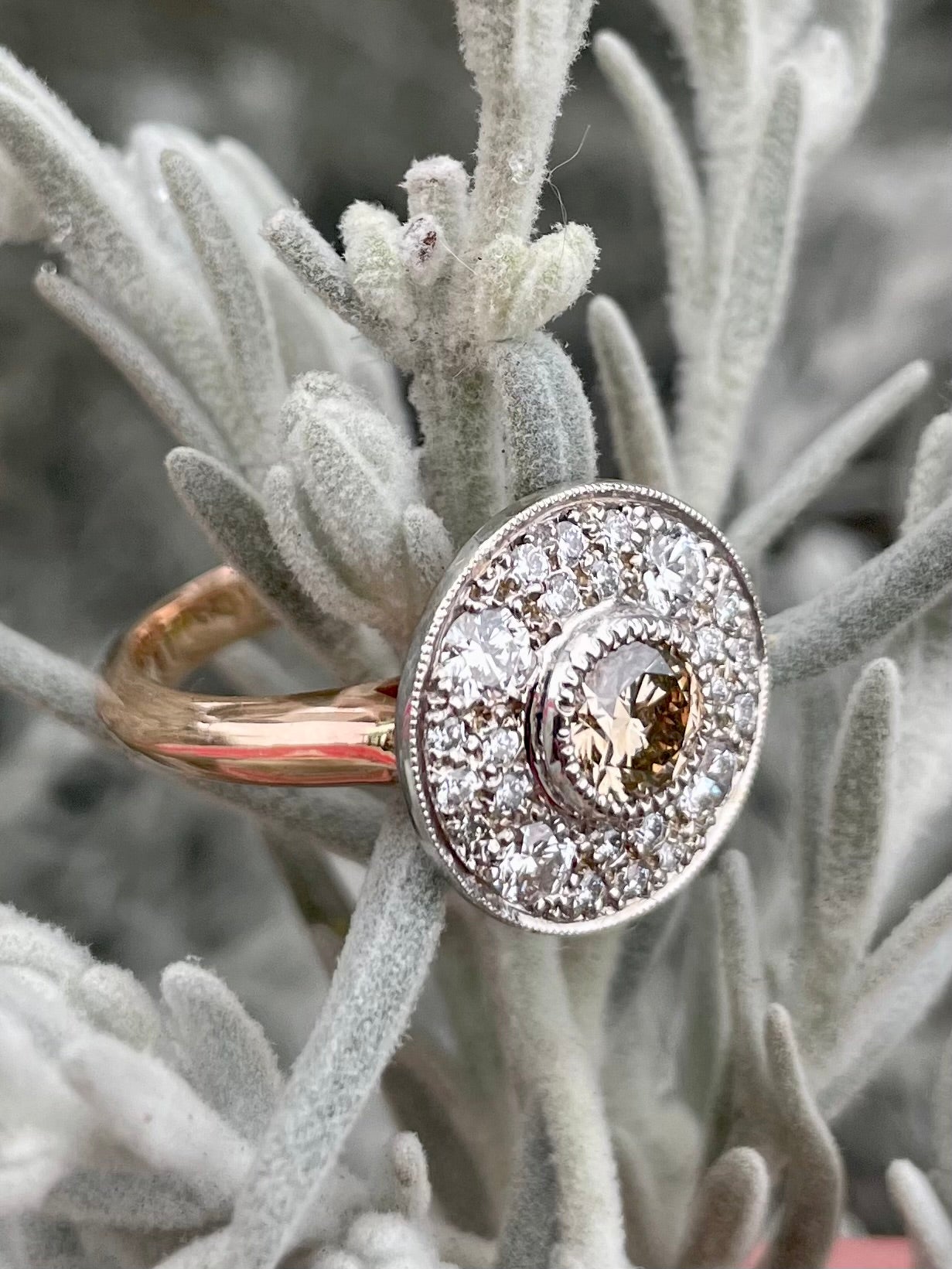 9ct Rose & White Gold Diamond Halo Ring