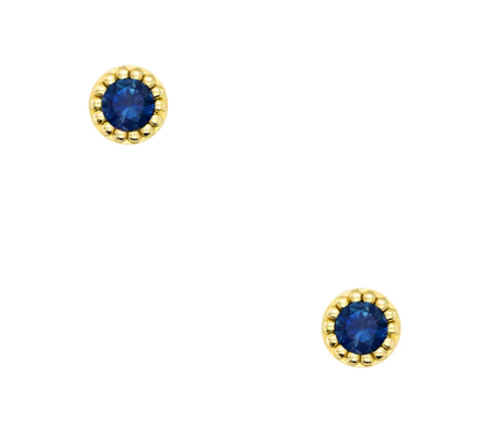 Amee Earrings