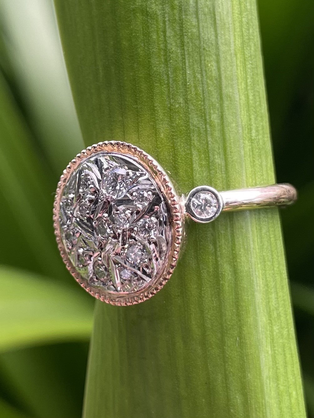 9ct Rose & White Gold Round Diamond Ring
