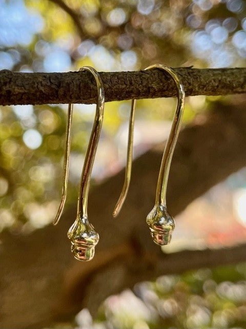 9ct Yellow gold Gum nut drop Earrings (Small)