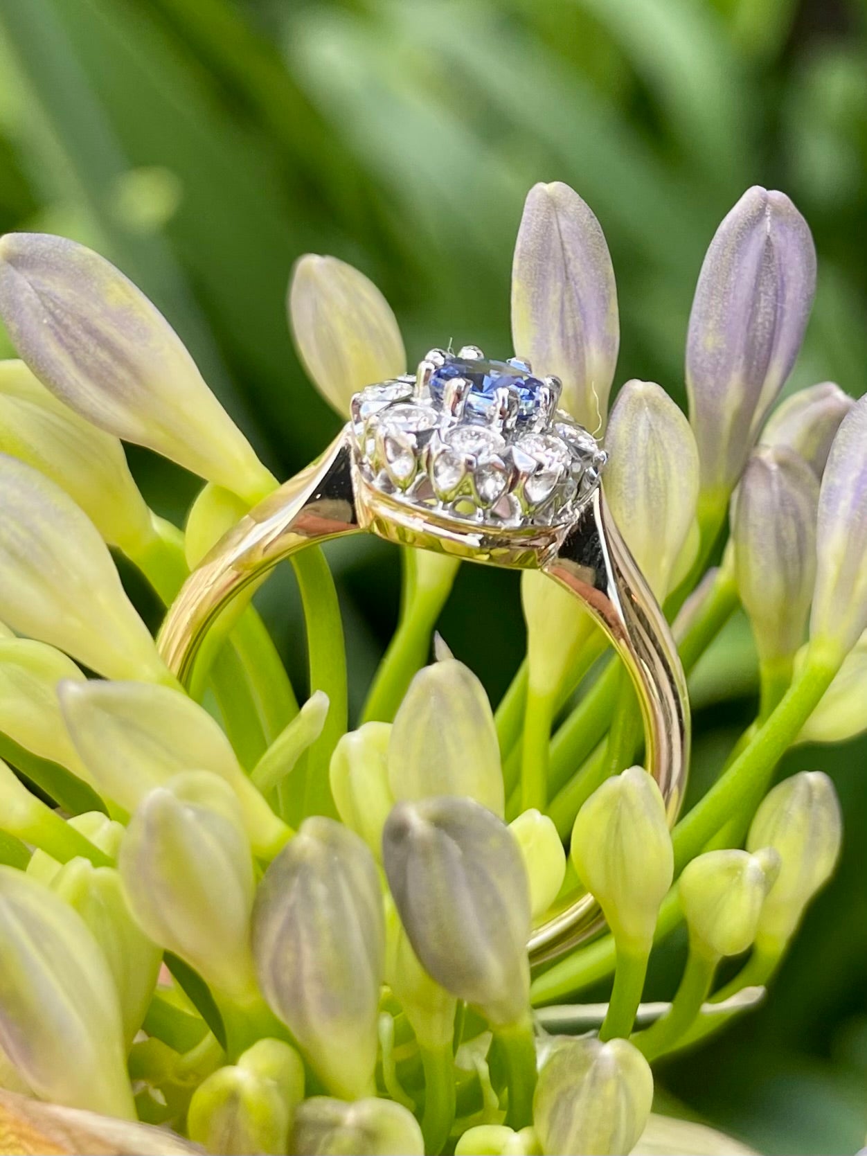 9ct Yellow/White Gold Claw-set Diamond and Ceylonese Sapphire Ring
