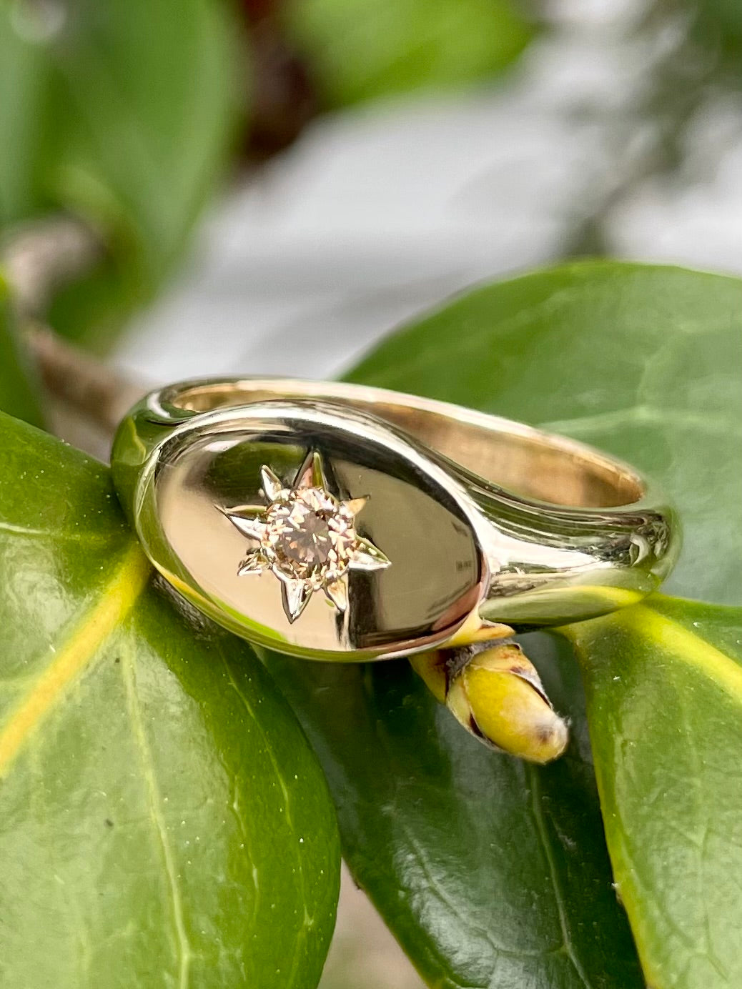 9ct Yellow Gold Star-set Chocolate Diamond Signet Ring
