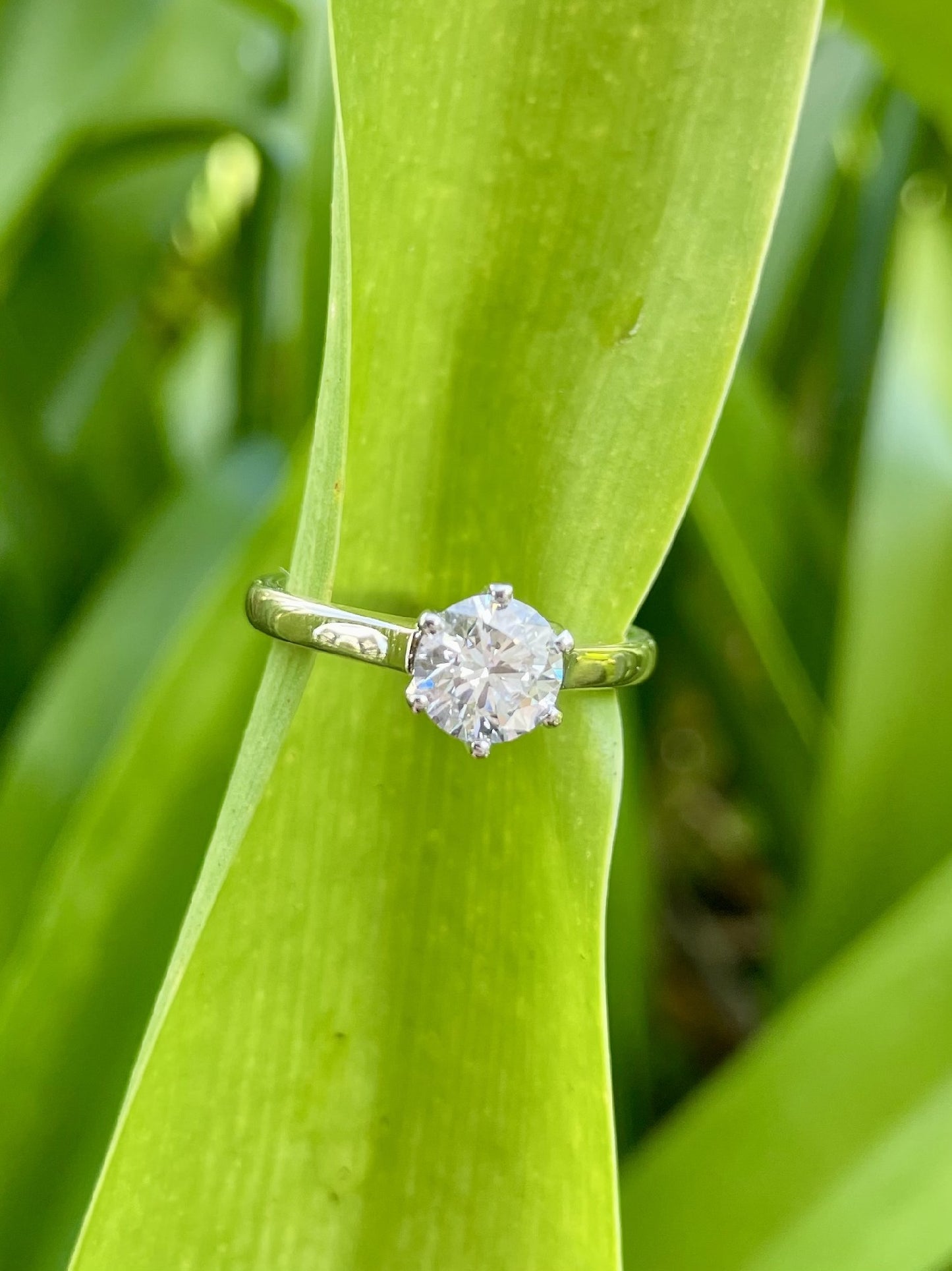 18ct Yellow & White Gold Solitaire Lab Diamond Ring