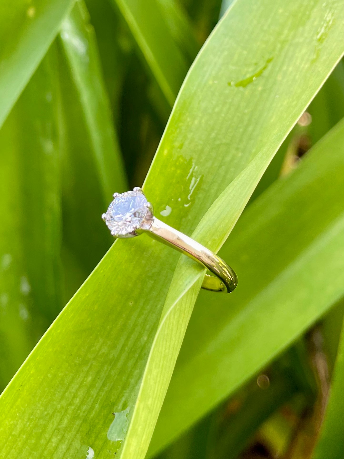 18ct Yellow & White Gold Solitaire Lab Diamond Ring
