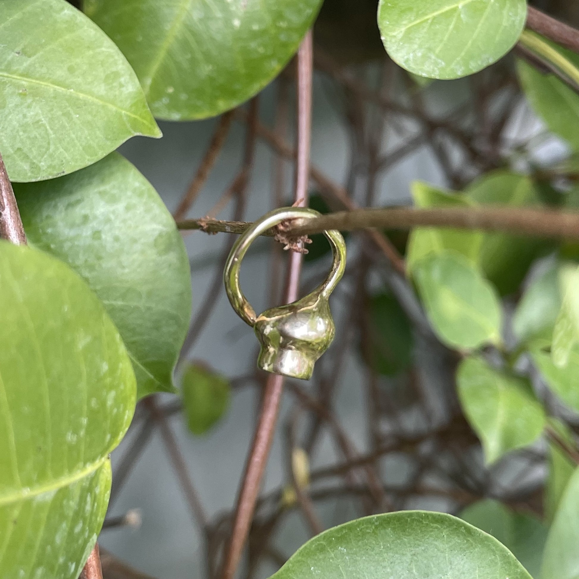 9ct Yellow Gold Gumnut Loop Pendant