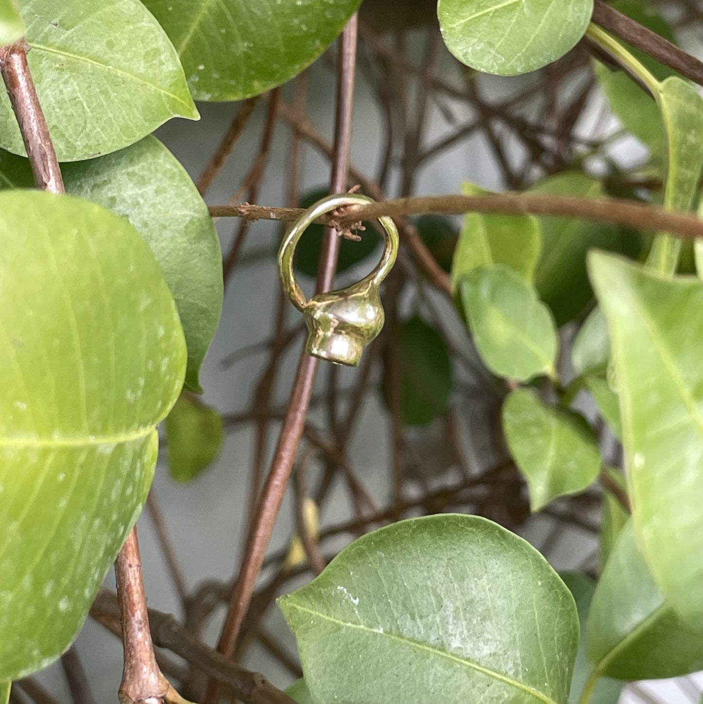 9ct Yellow Gold Gumnut Loop Pendant