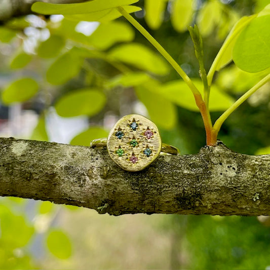 9ct Yellow Gold Ceylonese Sapphire, Pink Sapphire and Tsavorite Ring