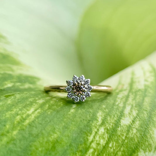 18ct Rose gold Australian Chocolate Diamond and white diamond halo