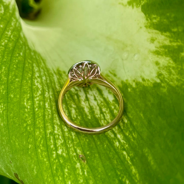 9ct Rose and White gold Oval Lab grown diamond halo ring 