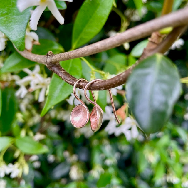 9ct Rose Gold Domed Cup Earrings