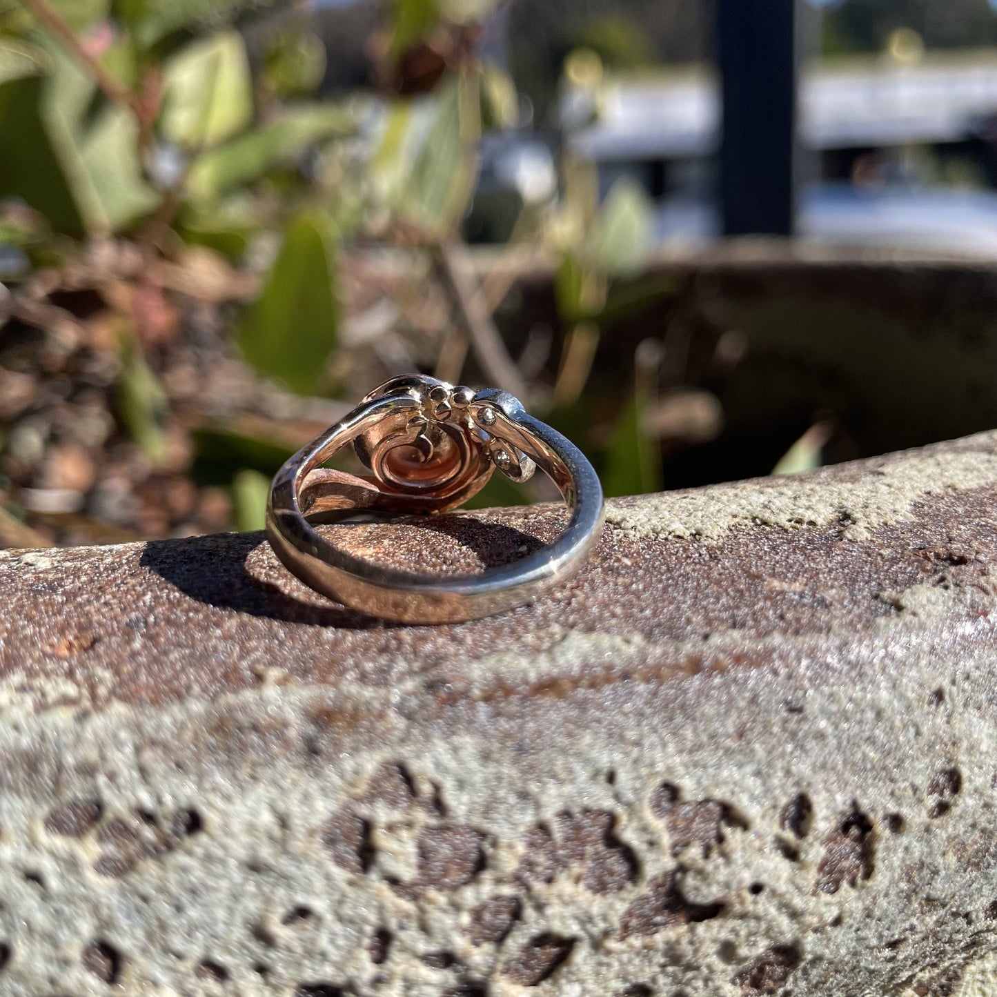 9ct Rose Gold and White Gold Diamond Ring
