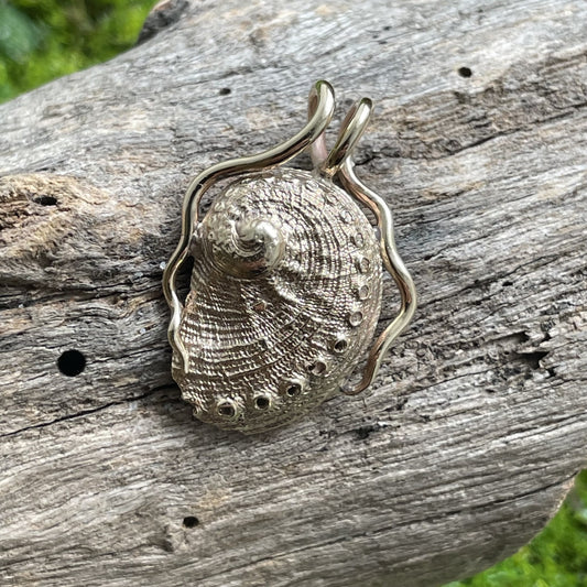 9ct Yellow Gold Abalone Pendant