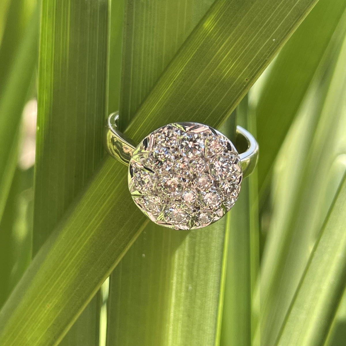 9ct Yellow and White Gold Diamond Ring